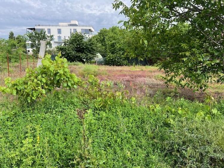 Teren Ghencea- Dantelei- Darvari. - 4