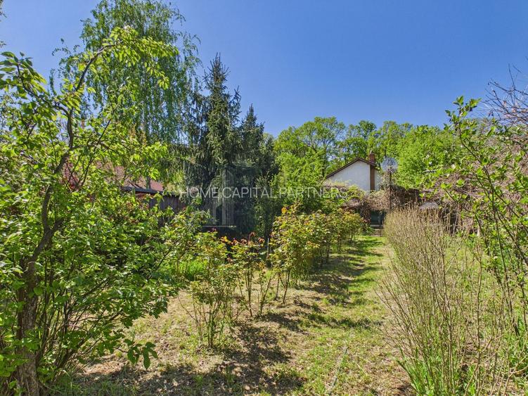 Casă de locuit/vacanță cu livadă, la marginea pădurii — Lipia - 25