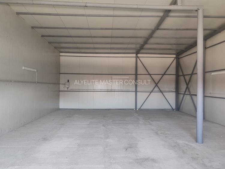 Hala de inchiriat - 4