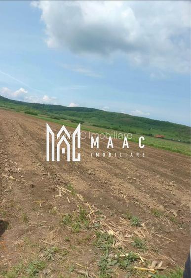 Teren | Extravilan | Oportunitate Investiție | 10 000 MP | Bradu - 2