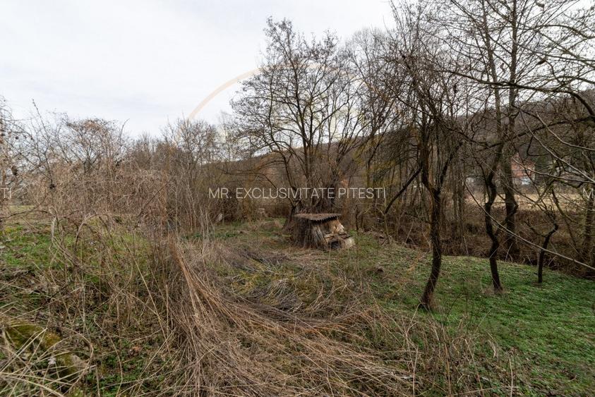 Teren de vanzare – 1221 mp in Budeasa Mica, zona linistita. - 8