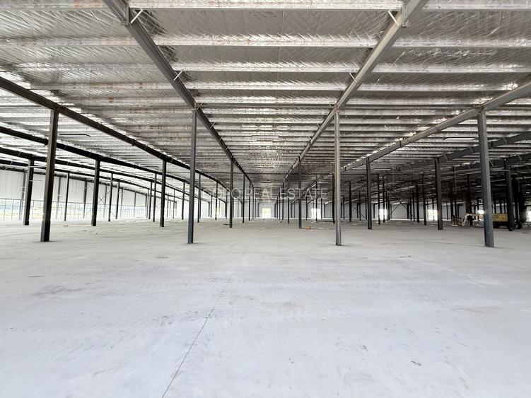 Centru Comercial  16000 mp hale depozitare productie logistica - 14