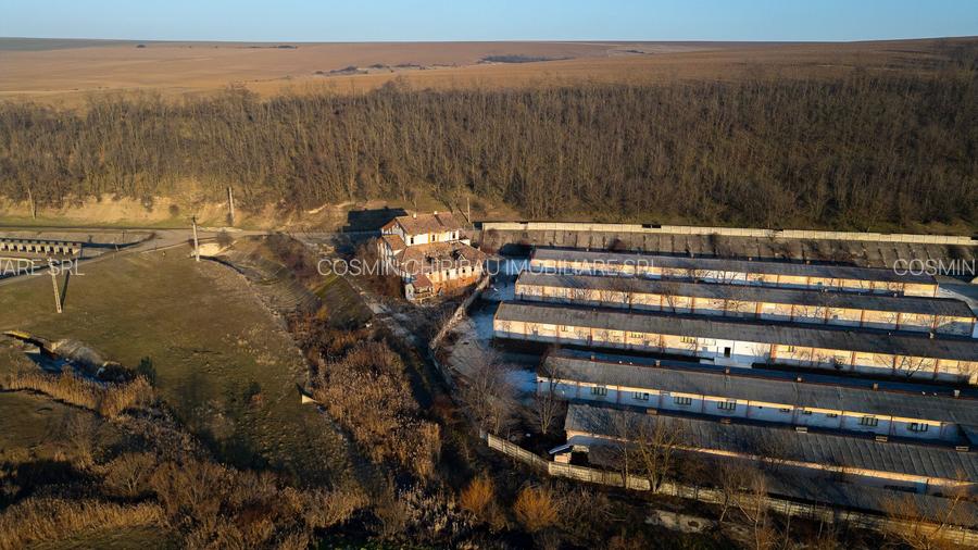 Fosta Ferma a Partidului de la Horgesti - de vanzare - 9