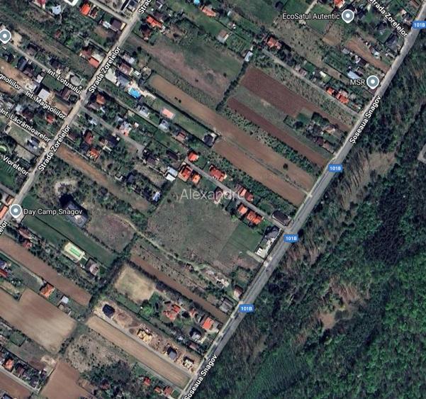 Teren intravilan Snagov, 9.000 mp, servitute, utilitati - 2