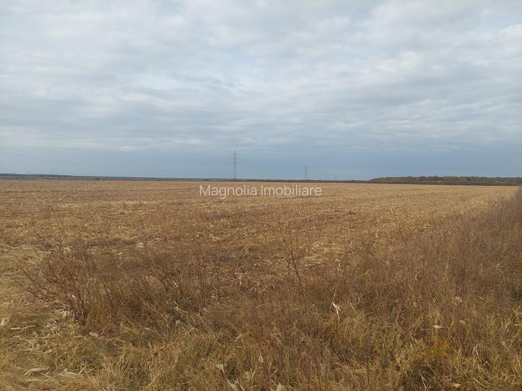 Teren dezvoltare rezidentiala / industriala, Dumbrava / Targoviste - comision 0% - 2