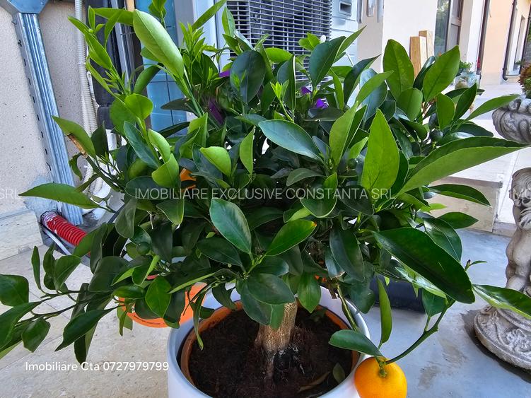 Lux !!! Ap 3 Camere Premium In Bloc Privat Contracrt Parcare - 21