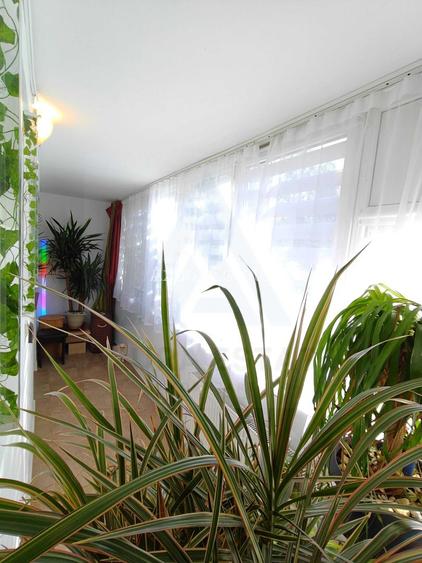 Apartament cu 2 camere bucatarie inchisa si balcon in zona Hipodrom 2 - 8