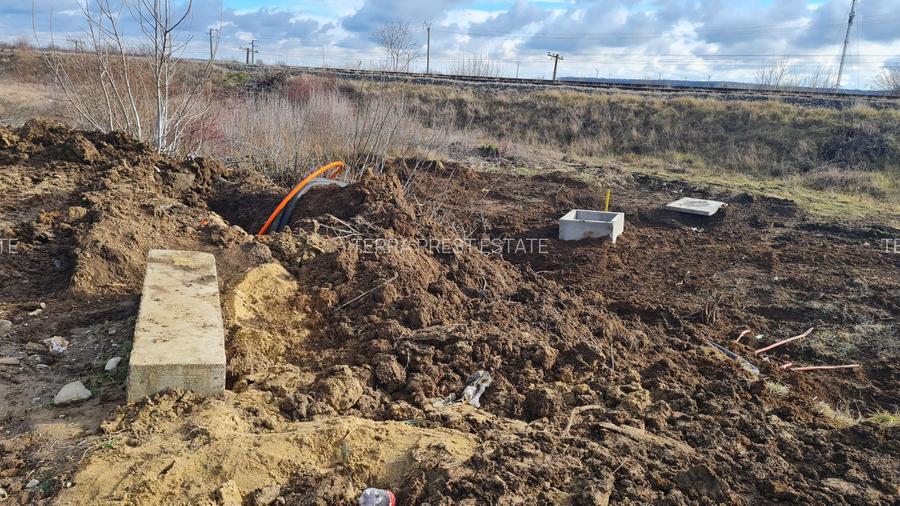 Super oferta! 1500 mp intravilan Caciulati, acces rapid A3 - 6