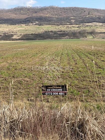 Teren Intravilan-3750mp- zona in plina dezvoltare-Podirei - 5