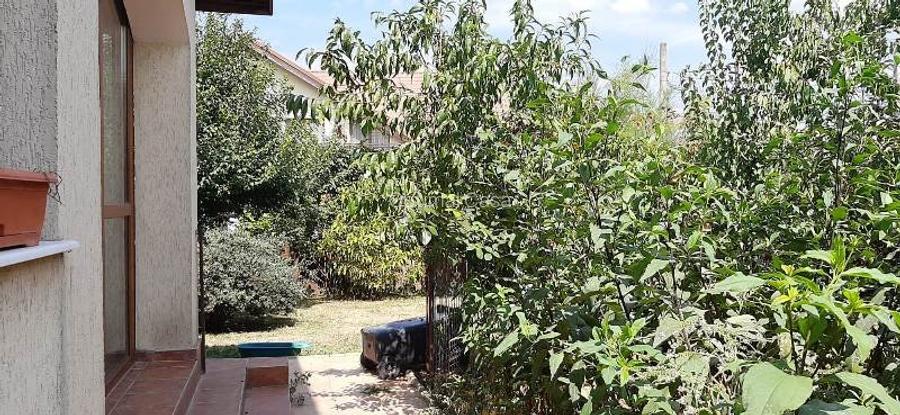 Corbeanca,vila amenajata deosebit,teren 500 mp,crama,foisor,vegetatie matura - 14