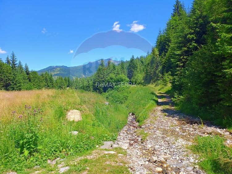 Teren 2,895mp Strada Priseci acces auto in zona telecabina BORSA - 8