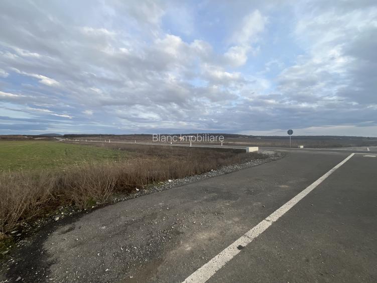 Teren 7481 mp, cu acces facil la Inelul Metropolitan - 6