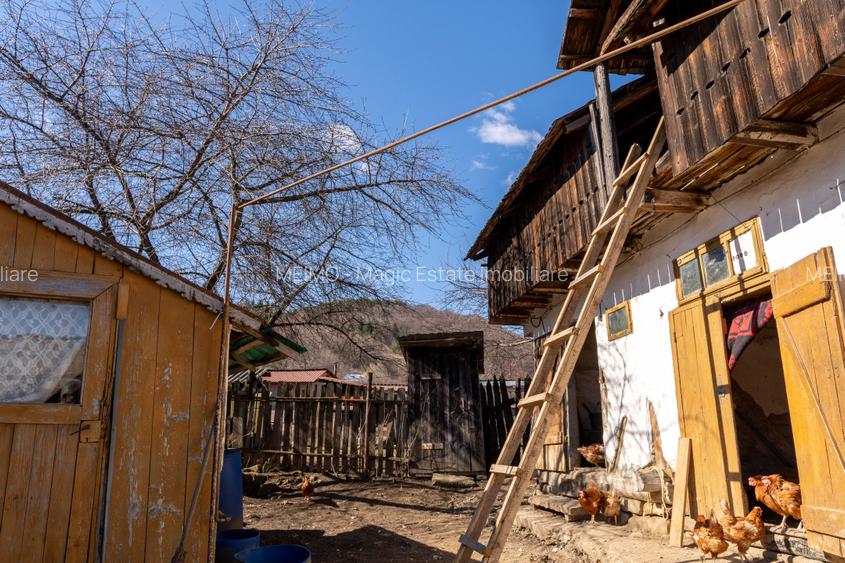 Ai plecat din Solont, dar terenul ăsta de 1737mp te cheamă înapoi - 7