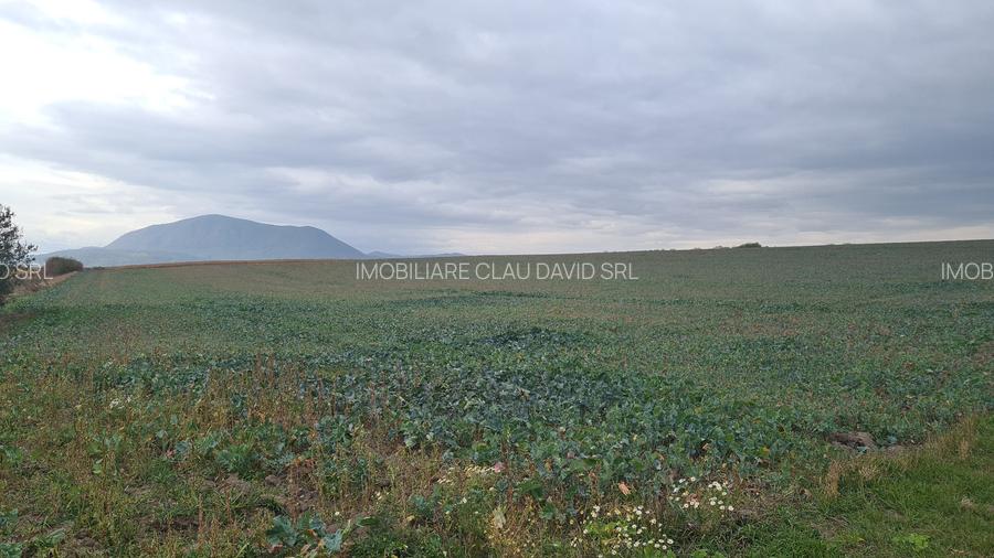 Oază de Natură și Potențial: Teren de 48.100 mp lângă Delta din Carpați - 4