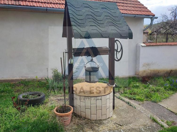 Casa 4 camere 2 bai garaj inchis pivnita si teren 740 mp in Seica Mica - 20