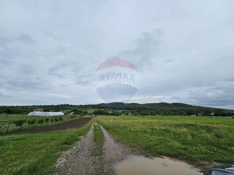 Teren 1,495mp Dobreni / Strada Parau Almas - 8