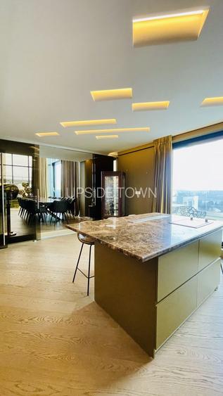 Floreasca | Penthouse | Duplex | Pescariu | Terasa - 18