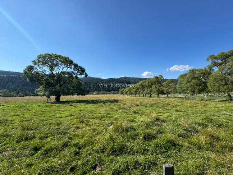 Vanzare 16700 - 9 loturi - Plaiul Sarului la sosea- microdezvoltare langa oras - 18