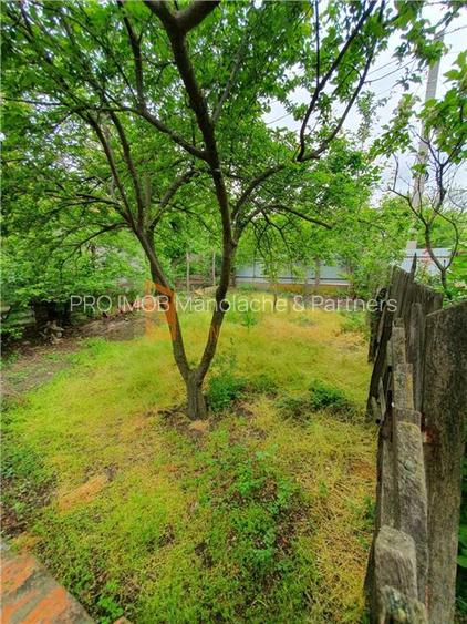 EXCLUSIVITATE! Casa + teren zona Beilic, com. Sageata - 14