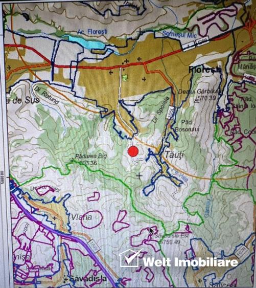 Teren 1071mp, front 34m, str Stejarului Floresti - 2