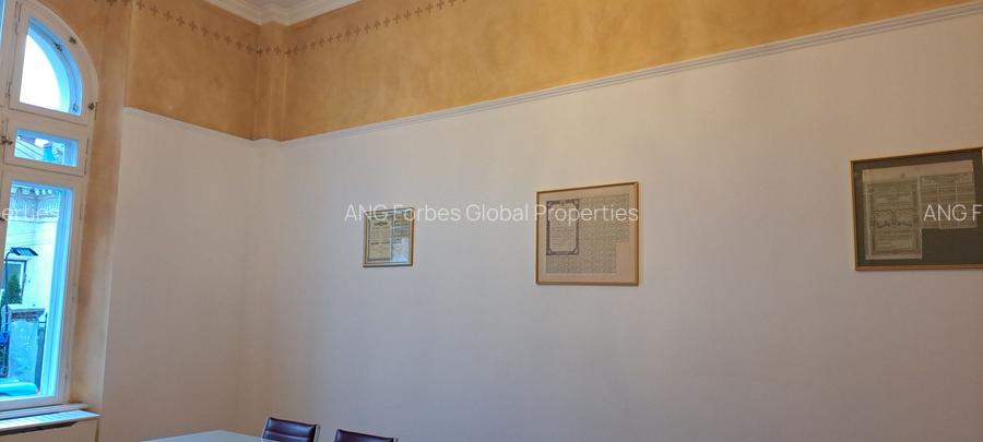 SPATIU DISTINCTIV IN VILA ISTORICA - 14