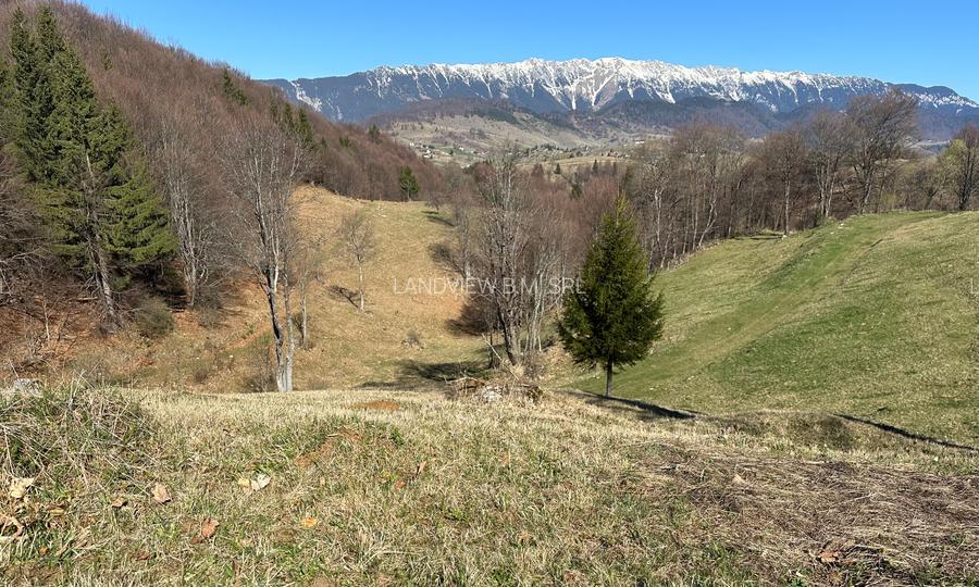 Teren intravilan 2500 mp Fundata la 15 km de  zona Bran-Moeciu - 5