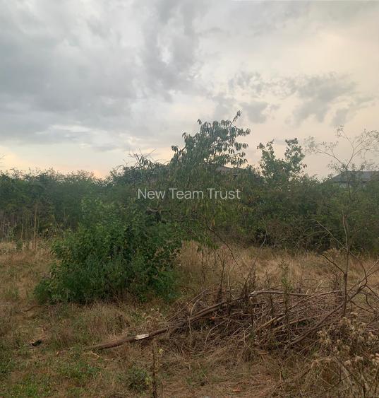 Voluntari  Pipera  Matei Millo  Vanzare  Loturi   teren   intravilan - 10