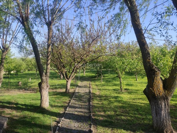 Vilă individuală 400 mp | Teren 3.330 mp | Voluntari – Matei Corvin | Proprietat - 5