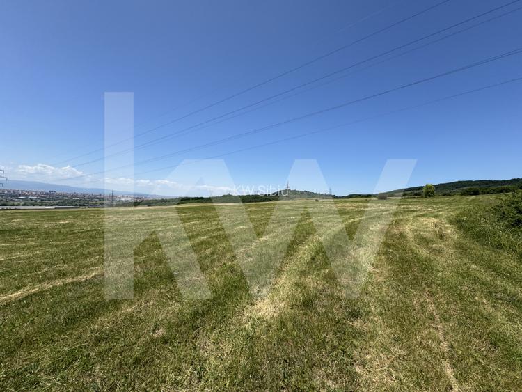 Teren extravilan arabil de vânzare – Dealul Dăii - 5