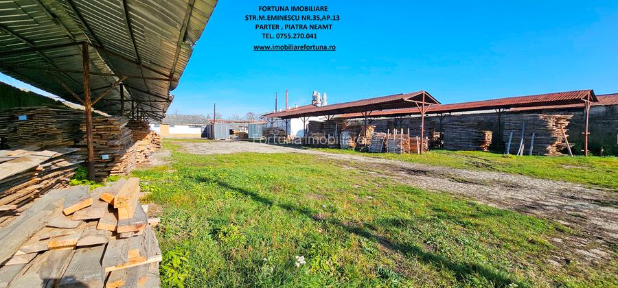 Complex imobiliar format din cladiri si constructii industriale+teren intravilan - 8