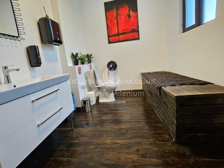 Vila Exclusivista Cișmigiu  - Stirbei Voda Birouri - 14