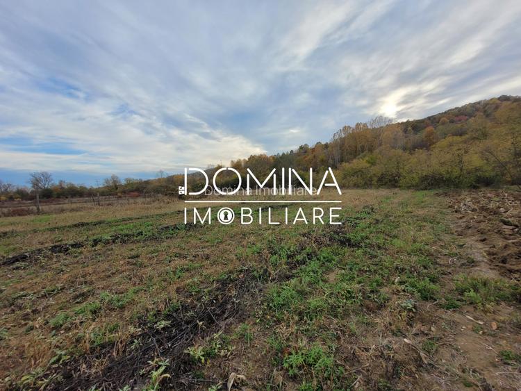 Vanzare teren intravilan, 4967  mp, utilitati, sat Rasova, Balesti - 8