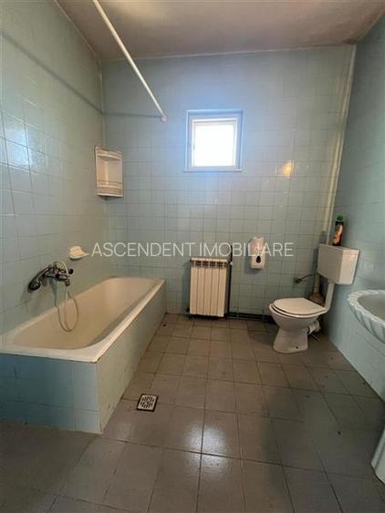 Activitate logistica, depozitare, productie mica atelier auto, etc.  Stupini, Br - 9