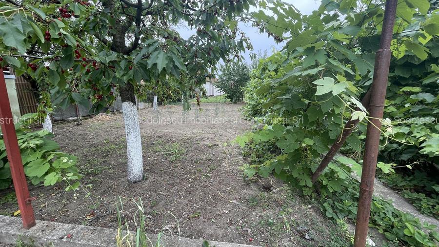 Casa cu teren de 915 mp și front de 20 ml - 2