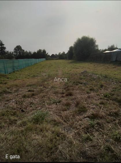 Teren intravilan in Oltet Vistea-acte la zi, totul in regula - 7