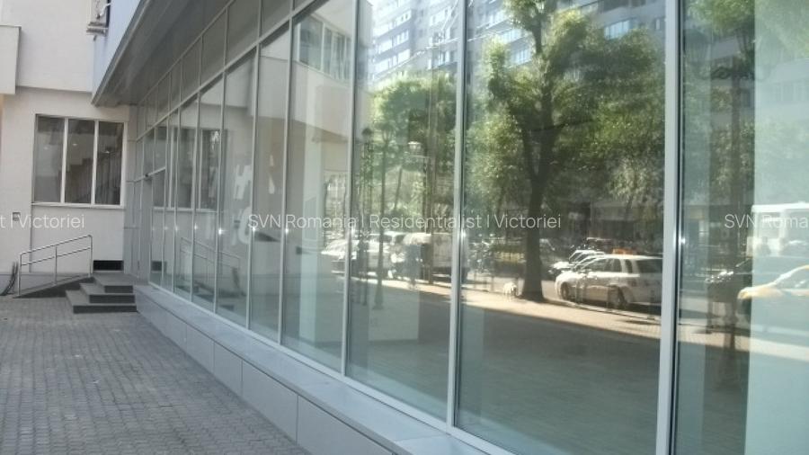 REC0001741 Spatiu Comercial Piata Victoriei - Titulescu - 19