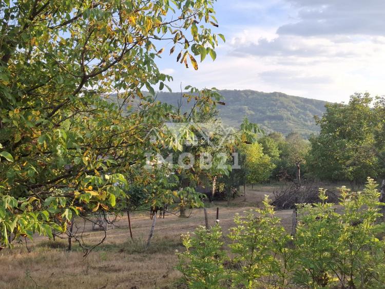 Teren spectaculos cu padure, livada si priveliste panoramica in Soimari PH - 7