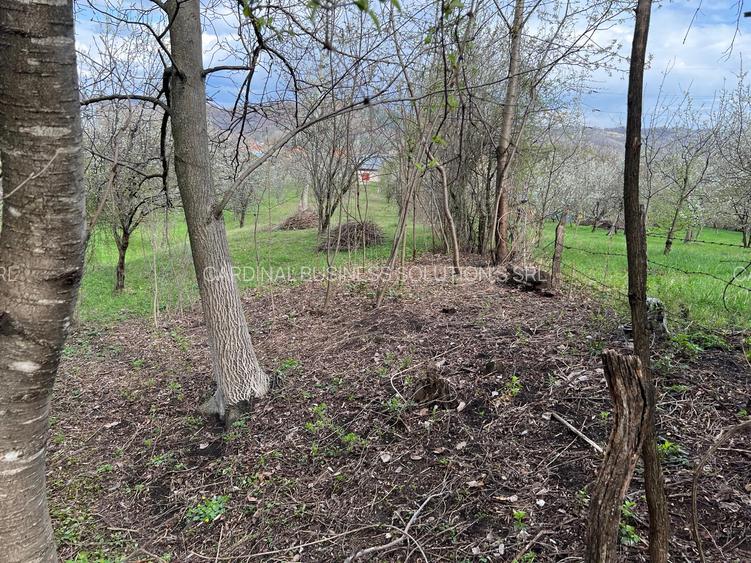 Breaza - str.Plaiului, Coasta Berzei nr.54, teren 1400 mp - 8