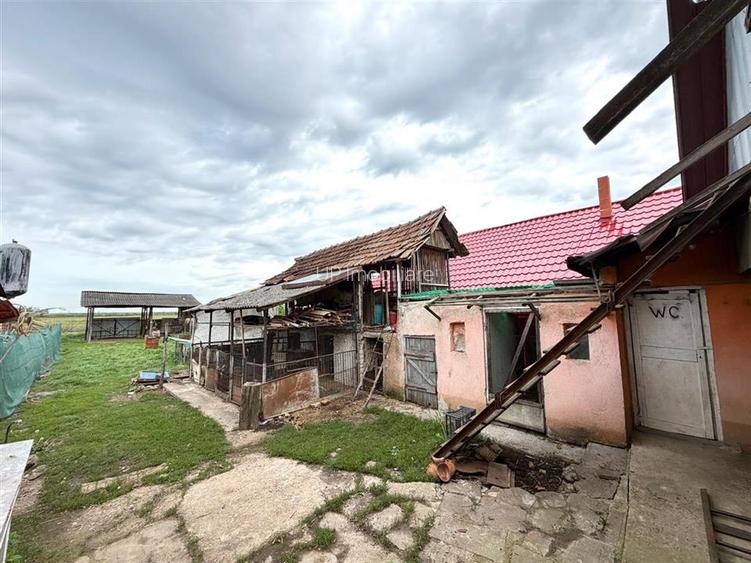CASA CU TEREN 1081 MP | ACCES AUTO | ZONA SACUIENI | LOCALITATEA CADEA | BIHOR - 21