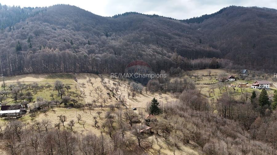 10.51 Euro + TVA / mp: Teren Bran Predelut, 24.253 mp, intravilan - 5