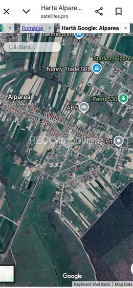 Reco Teren intravilan in Alparea, aproape de drumul principal - 2