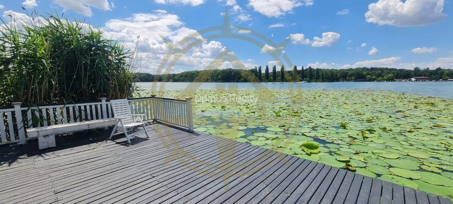 DOM00445 - Vila de poveste la lac cu ponton in Snagov - 15