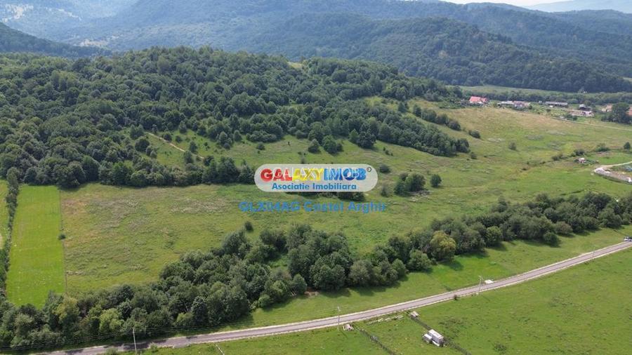 Vindem teren 20000 mp Cheile Rasnoavei - Brasov , pentru case vacanta - 3