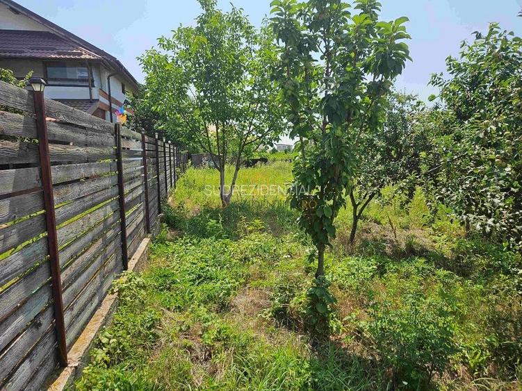 Teren de vanzare, 561 mp, strada Cetatea Alba, Mamina, Comuna Berceni - 6