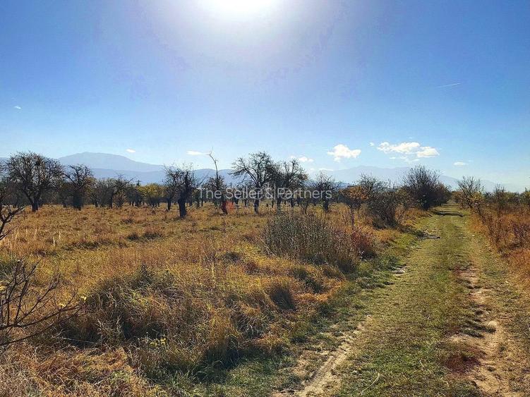 Teren investitie Ghimbav - 3