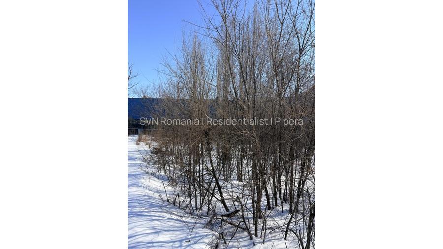 REL4001273 Teren 1400 mp Titan Oportunitate Investitie - 7