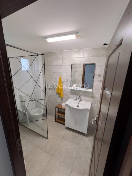 Vilă Individuală P+1+M <~> S.C.D.=231mp <~> Lângă Pădurea Cernica - 14