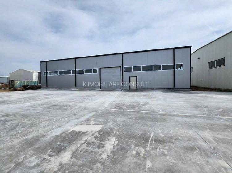 Pantelimon hala noua 500 mp - 4