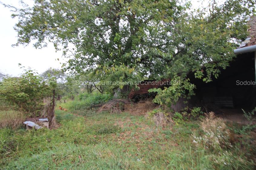 Teren de vânzare - 1900 mp Dumbravita - 5