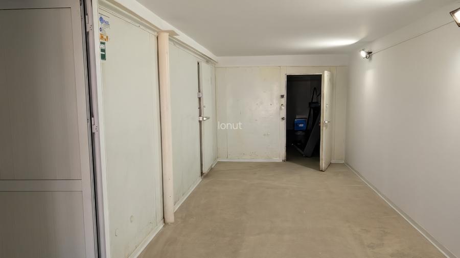 Hală Frigorifică / Hub Logistic – Complet Renovată, Interioara 3 - 3